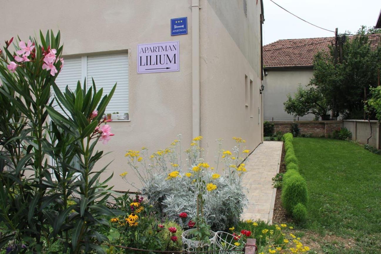 Apartman Lilium คนิน ภายนอก รูปภาพ